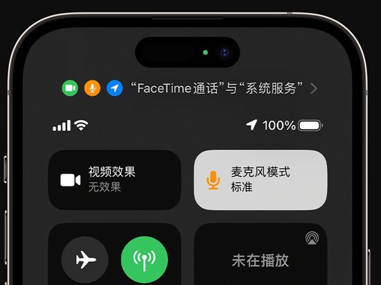 嘉善苹果授权维修网点分享iPhone在通话时让你的声音更清晰 