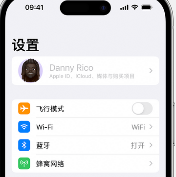 嘉善appleID维修服务iPhone设置中Apple ID显示为灰色无法使用 