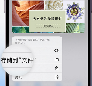 嘉善apple维修中心分享iPhone文件应用中存储和找到下载文件