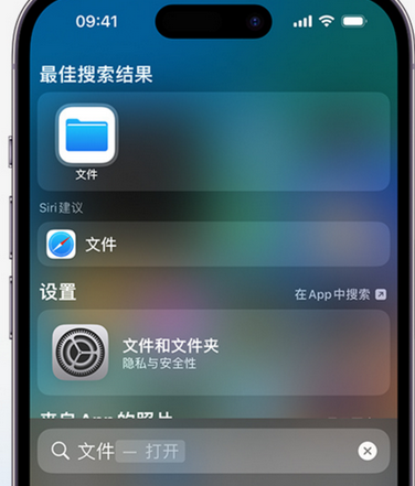 嘉善apple维修中心分享iPhone文件应用中存储和找到下载文件 