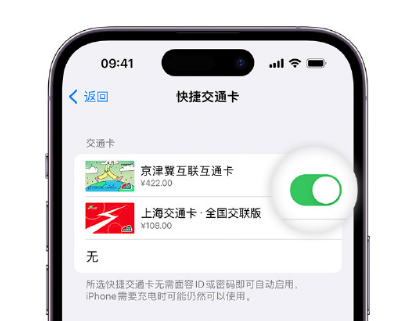 嘉善apple维修点分享iPhone上更换Apple Pay快捷交通卡手绘卡面 