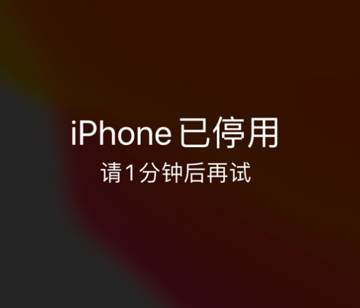 嘉善苹果手机维修分享:iPhone 显示“不可用”或“已停用”怎么办？还能保留数据吗？ 