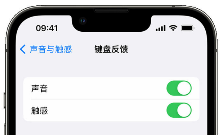 嘉善苹果手机维修分享iPhone 14触感键盘使用方法 