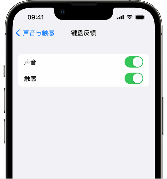 嘉善苹果14维修店分享如何在 iPhone 14 机型中使用触感键盘 