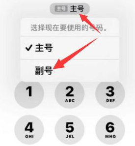 嘉善苹果14维修店分享iPhone 14 Pro Max使用副卡打电话的方法 