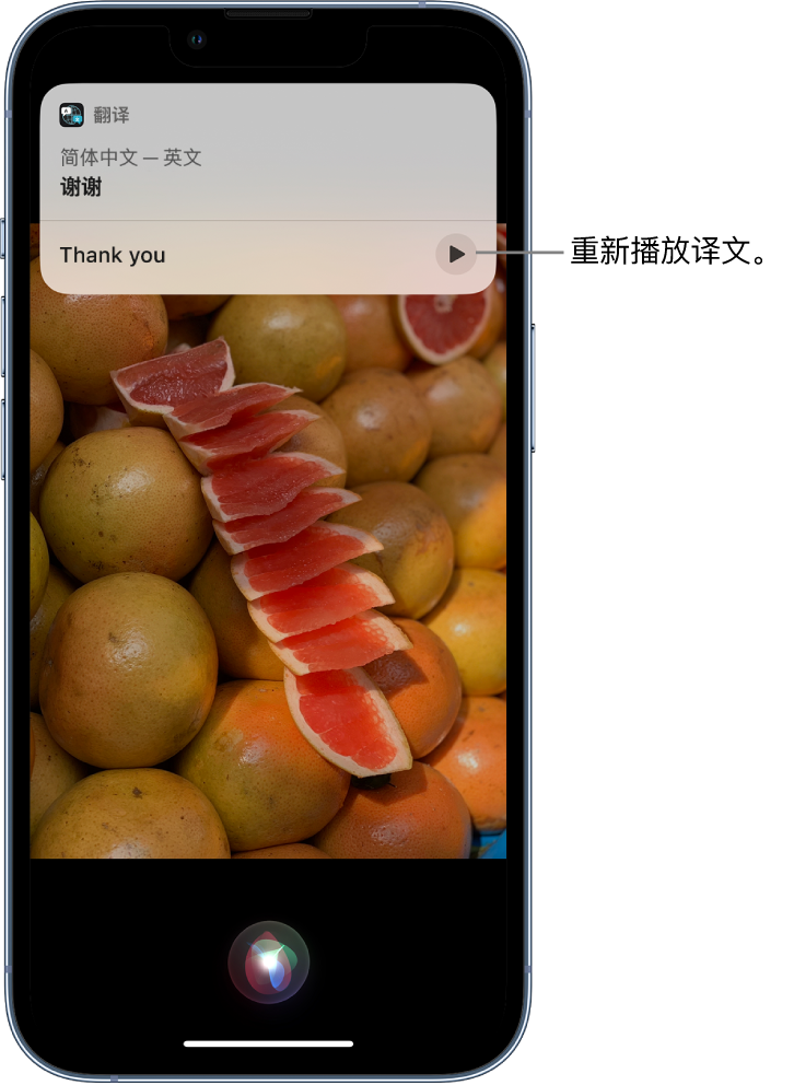 嘉善苹果14维修分享 iPhone 14 机型中使用 Siri：了解 Siri 能帮你做什么 