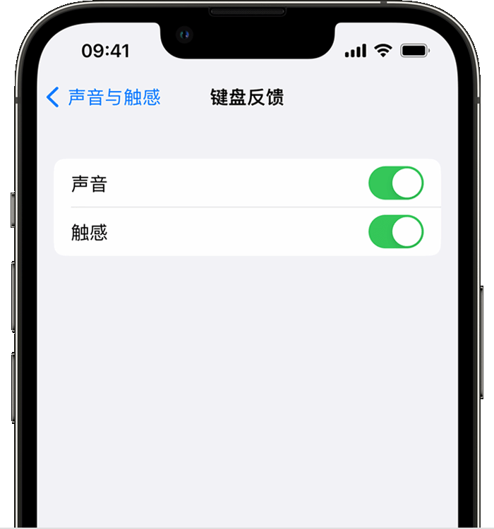 嘉善苹果14维修分享iPhone 14 系列机型如何开启键盘声音或触感反馈 