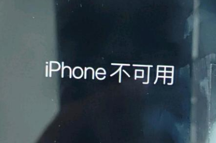 嘉善苹果服务网点分享锁屏界面显示“iPhone 不可用”如何解决 