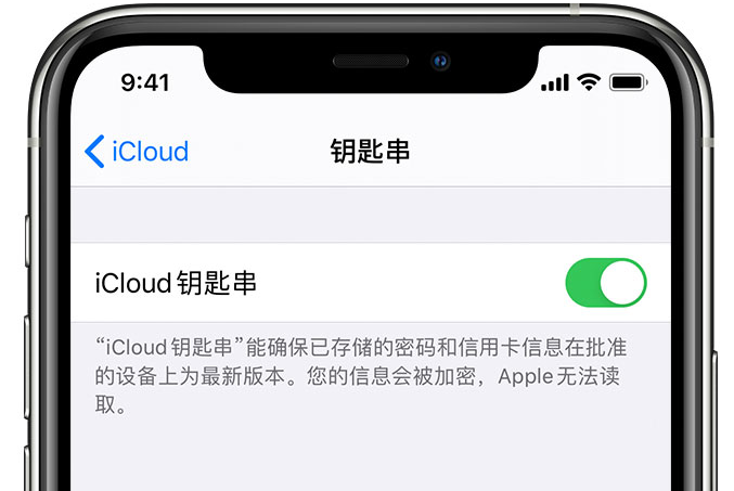 嘉善苹果手机维修分享在 iPhone 上开启 iCloud 钥匙串之后会储存哪些信息 