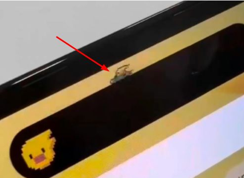 嘉善苹果14维修分享iPhone 14 Pro Max灵动岛怎么养宠物 