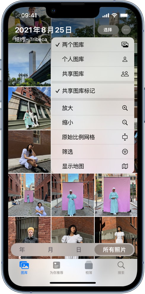 嘉善苹果手机维修分享升级 iOS 16.1 后，如何设置或加入 iCloud 共享照片图库 