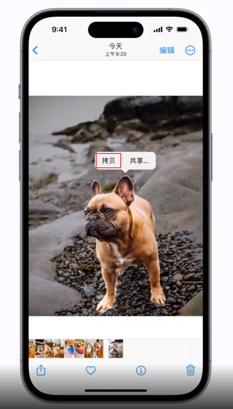 嘉善苹果手机维修分享 iOS 16 自带一键抠图功能 