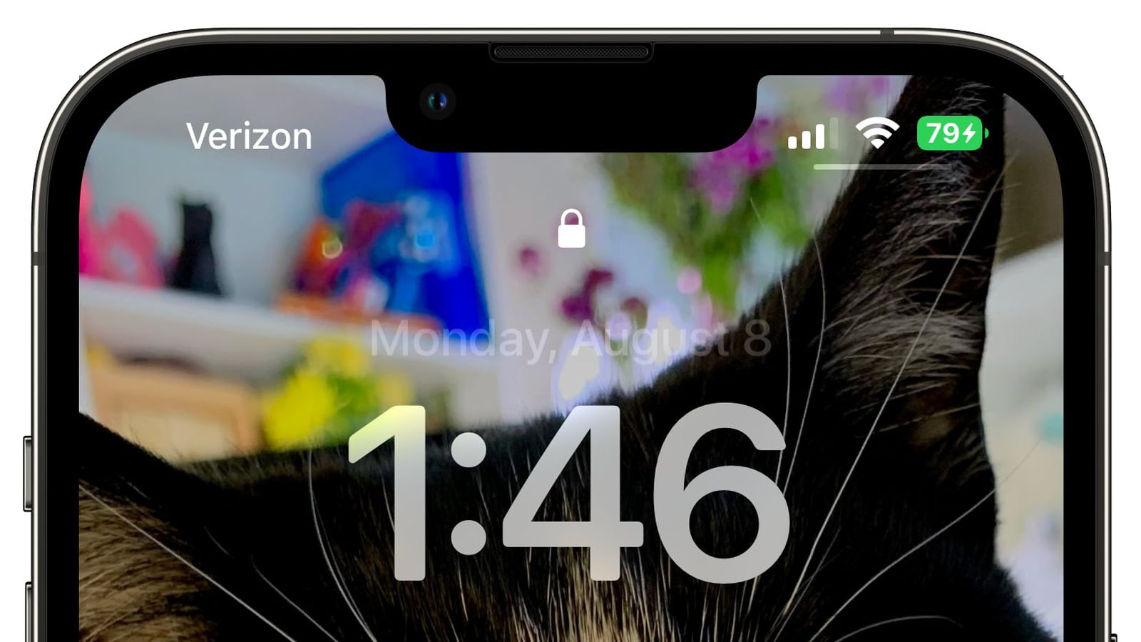 嘉善苹果手机维修分享iOS 16 beta 5 支持状态栏显示电池百分比，如何开启？支持哪些机型 