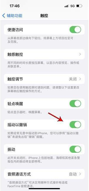 嘉善苹果手机维修分享iPhone手机如何设置摇一摇删除文字 