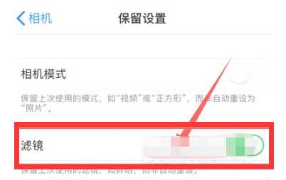 嘉善苹果13维修分享iPhone13拍照有绿点是怎么回事 