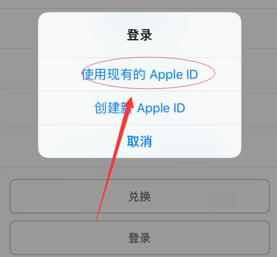 嘉善苹果手机维修分享两台iPhone设备可以同时登录一个Apple ID吗 