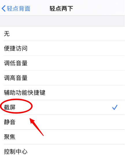 嘉善苹果手机维修分享iPhone12如何启用双击截屏 