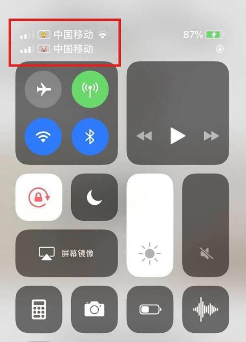 嘉善苹果手机维修分享为 iPhone 12 双卡设置标签 