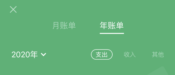 嘉善苹果手机维修分享如何在 iPhone 上查看支付宝和微信年支出账单 