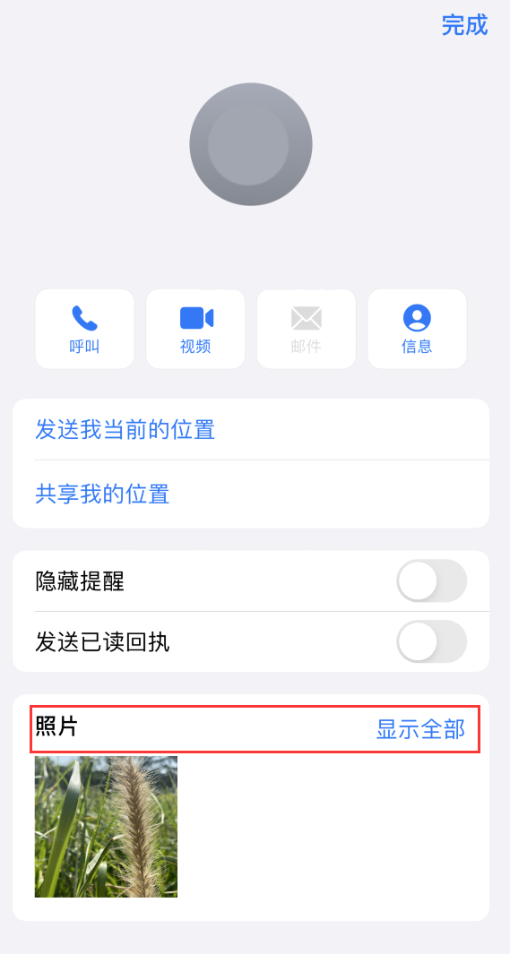 嘉善苹果手机维修分享如何快速查找 iMessage 信息中的图片等附件 