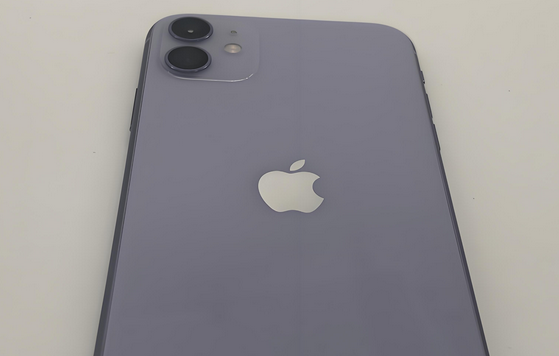 嘉善苹果11系统维修分享iPhone11手机系统崩溃无法开机如何解决 